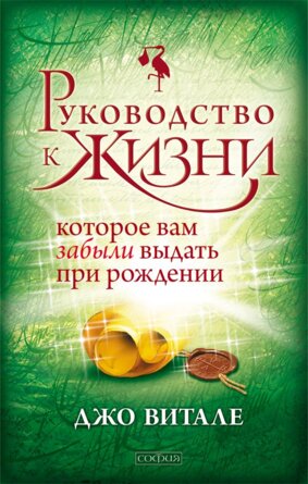 Руководство к жизни которое вам забыли выдать при рождении Мягк