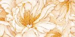 150x226/img1