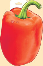 150x226/img1