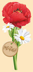 150x226/img1