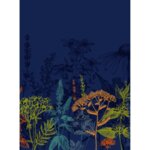 150x226/img1